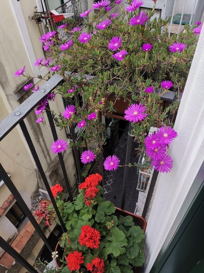 Le 13 Fontane Apartman Salerno Kültér fotó